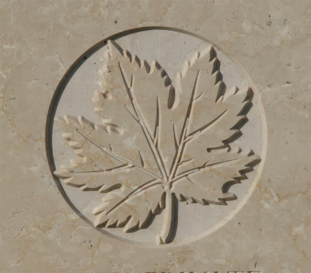 Canadian Expeditionary Force badge